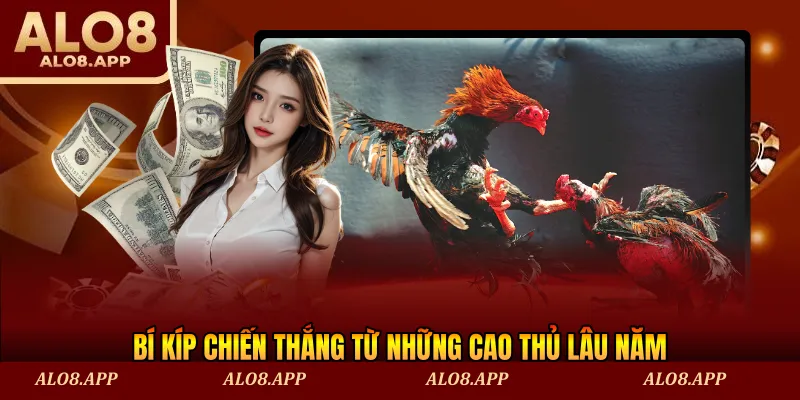 Bí kíp chiến thắng từ những cao thủ lâu năm