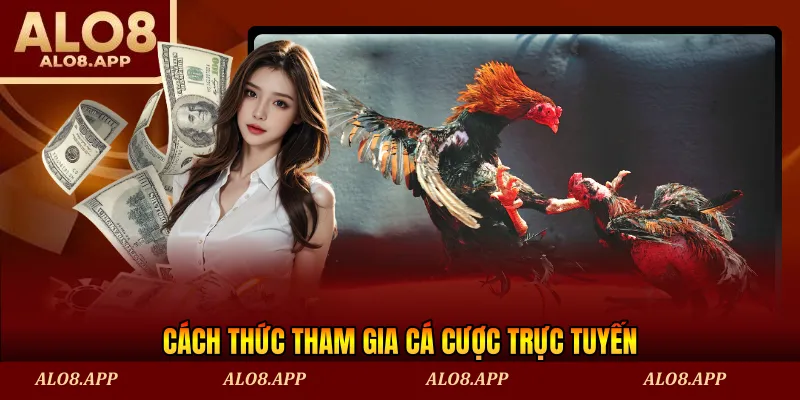 Cách thức tham gia cá cược trực tuyến