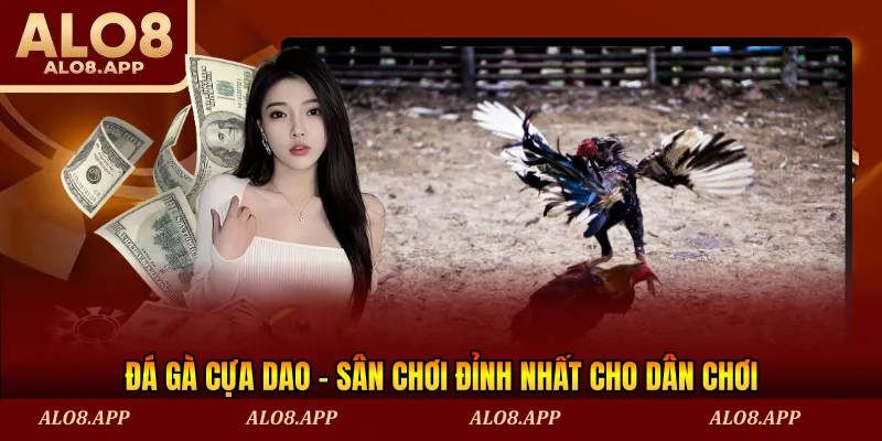 đá gà cựa dao