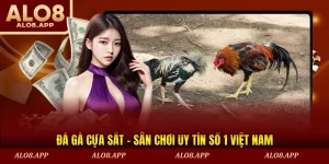 đá gà cựa sắt