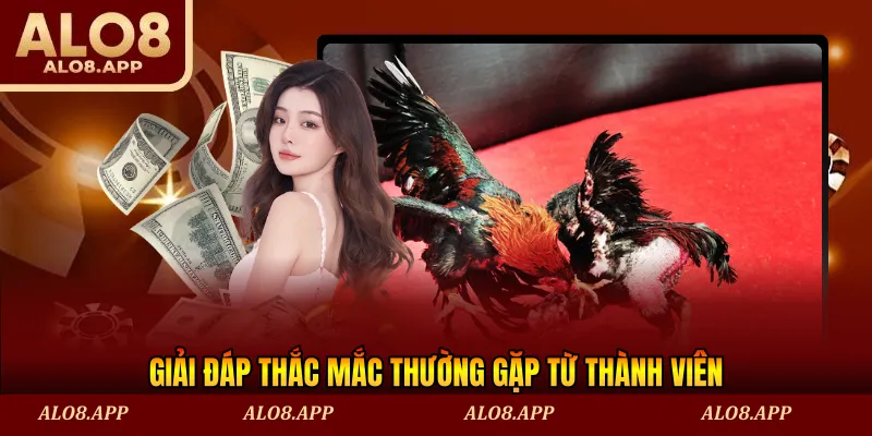 Giải đáp thắc mắc thường gặp từ thành viên
