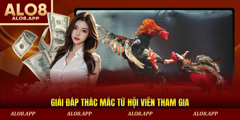 Giải đáp thắc mắc từ hội viên tham gia