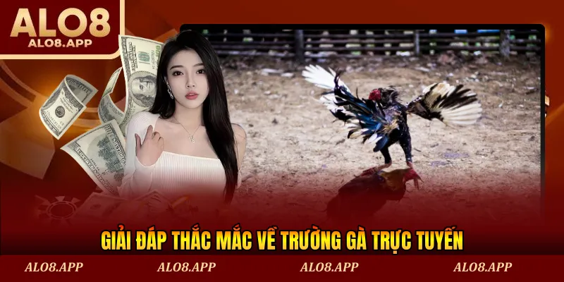 Giải đáp thắc mắc về trường gà trực tuyến