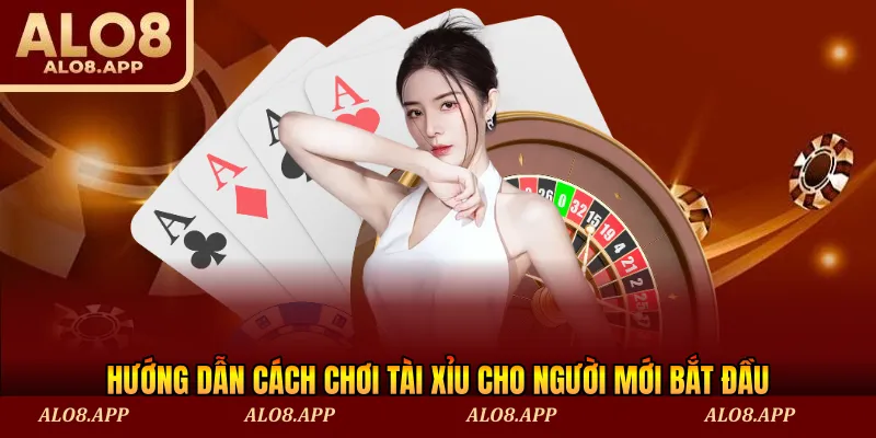 Hướng dẫn cách chơi tài xỉu cho người mới bắt đầu