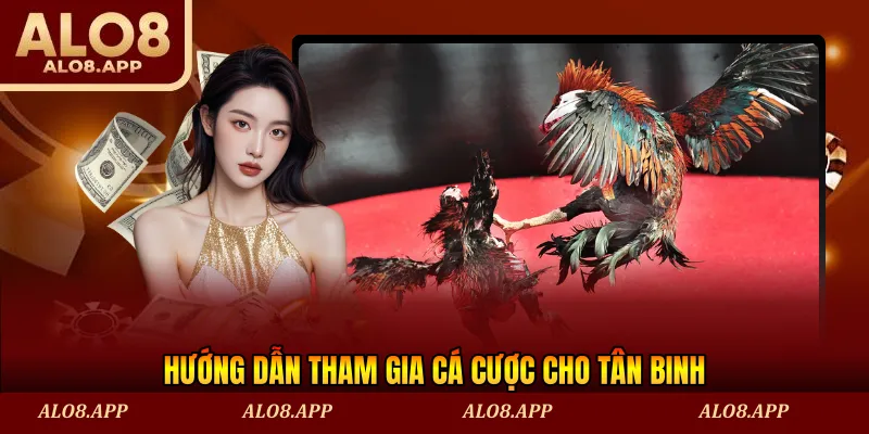 Hướng dẫn tham gia cá cược cho tân binh