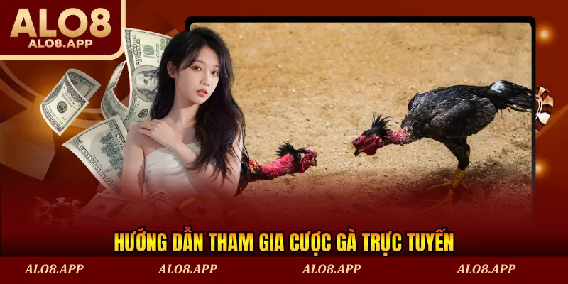 Hướng dẫn tham gia cược gà trực tuyến