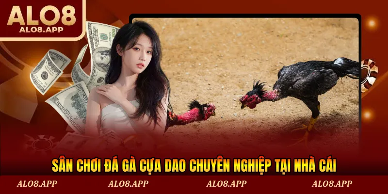 Sân chơi đá gà cựa dao chuyên nghiệp tại nhà cái