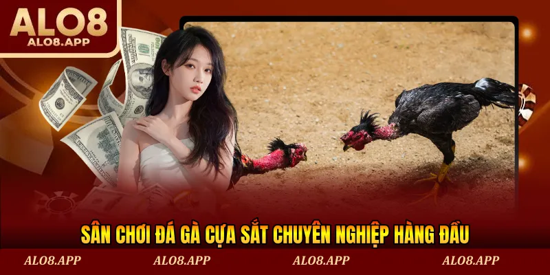 Sân chơi đá gà cựa sắt chuyên nghiệp hàng đầu