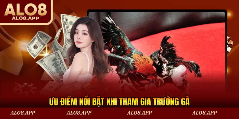 Ưu điểm nổi bật khi tham gia trường gà
